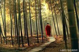 佛教裡的八敬法是什麼有的人怕持戒不自由，怕犯戒，就不敢受戒了！