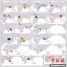 研究表明：萵苣等14種作物沿陸上絲綢之路傳入中國