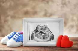 試管嬰兒，移植囊胚第幾天能測出來？