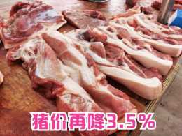 莆田豬肉價格今日價一斤多少錢豬肉繼續下跌，豬肉價格跌到15元以下