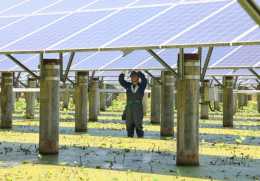 湖州萬投太陽能電力有限公司：三服務助農增收助農增收什麼意思