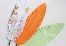 做一支羽毛筆：實用、簡單又美觀的幼兒親子手工