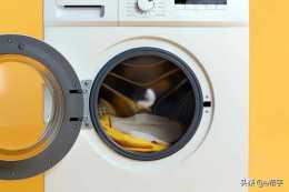 洗衣機橡膠圈如何除黴、防黴？這個辦法，簡單又實用