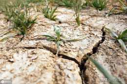 春旱年年有，今年卻特別嚴重，有沒有什麼解決的辦法？