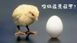先有雞還是先有蛋？古代科學家們是怎麼解釋先有雞還是先有蛋的問題